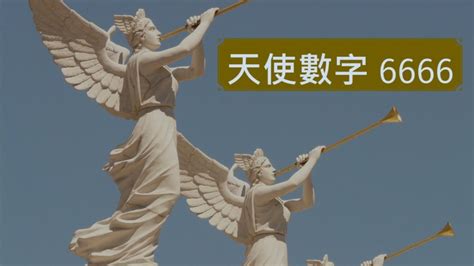 66數字|天使數字66是什麼意思？你的愛情、工作和靈性指引！